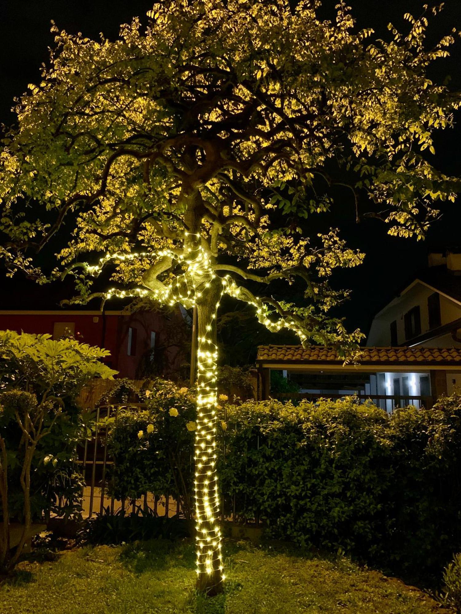L'Angolo Verde Apartment มอนคาลีเอรี ภายนอก รูปภาพ