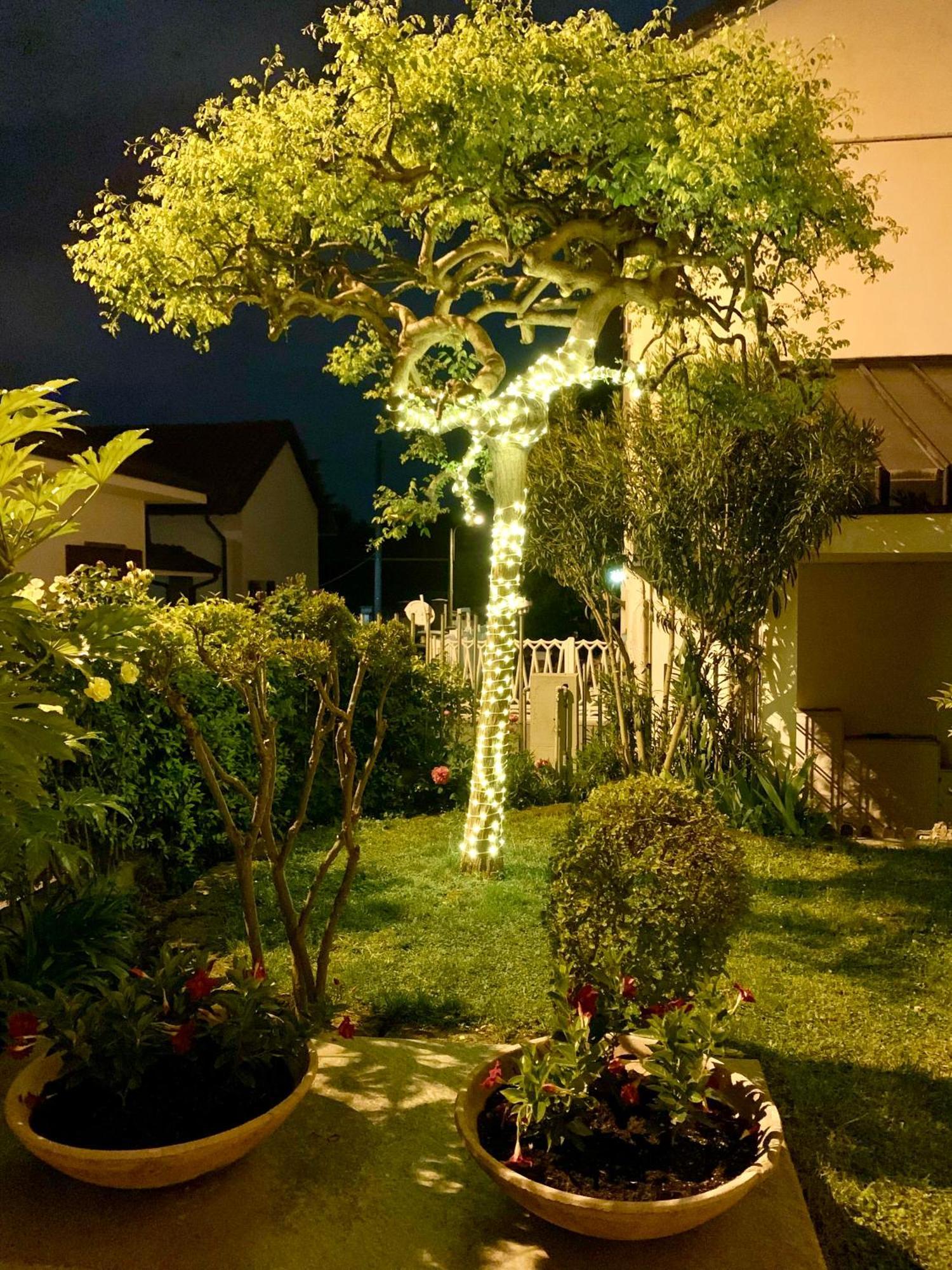 L'Angolo Verde Apartment มอนคาลีเอรี ภายนอก รูปภาพ